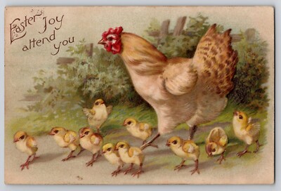 Easter Mother Hen Chicken 10 Baby Chicks Embossed Postcard Cooper TX Cancel 1908