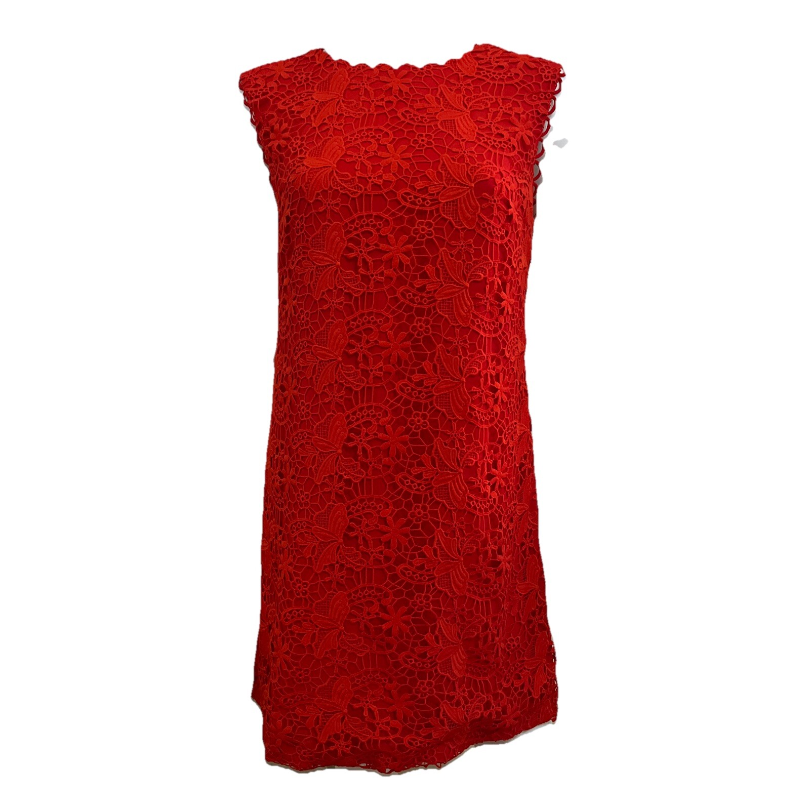 Cynthia Steffe Designer Dress Women's 6 Orange Lace Sleeveless Cocktail NWT
