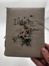 Vintage Book Daises From Burns Unknown Author And Year