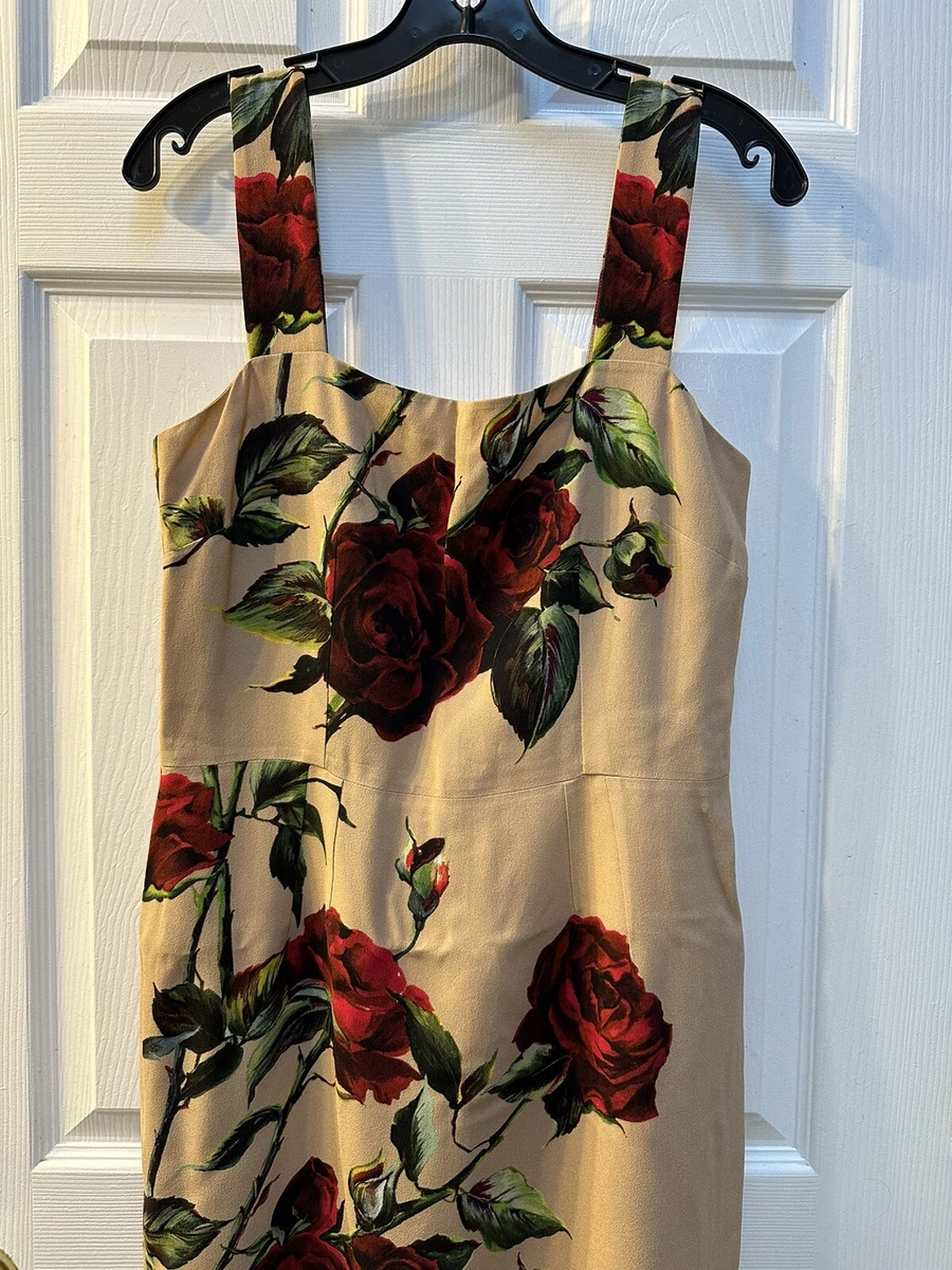 Dolce gabbana shop roses dress
