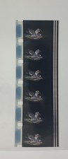 Disney Bambi 1943 Autentico Teatro Usato 16mm Pellicola Striscia 6 Cornici Thumper