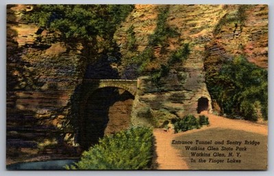 Postcard Entrance Tunnel & Sentry Bridge Watkins Glen State Park N.Y.  L-10M