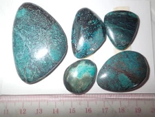Turquoise Stone Flat Free Form Cabochon 202.5 Carat 5 pieces 40.5 gram