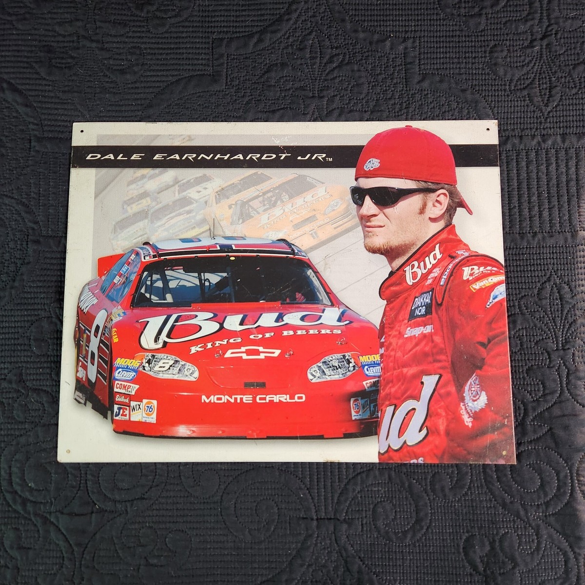 DALE EARNHARDT JR Budweiser NASCAR Racing METAL SIGN 13
