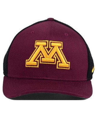Nike Minnesota Golden Gophers Dri Fit 