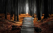 Landscape nature forest mist path leaves fall trees Custom Gaming Mat Desk