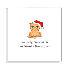 Funny Grumpy Cat Christmas Card Humbug Grinch Scrooge Dad Men Male Xmas Kitten