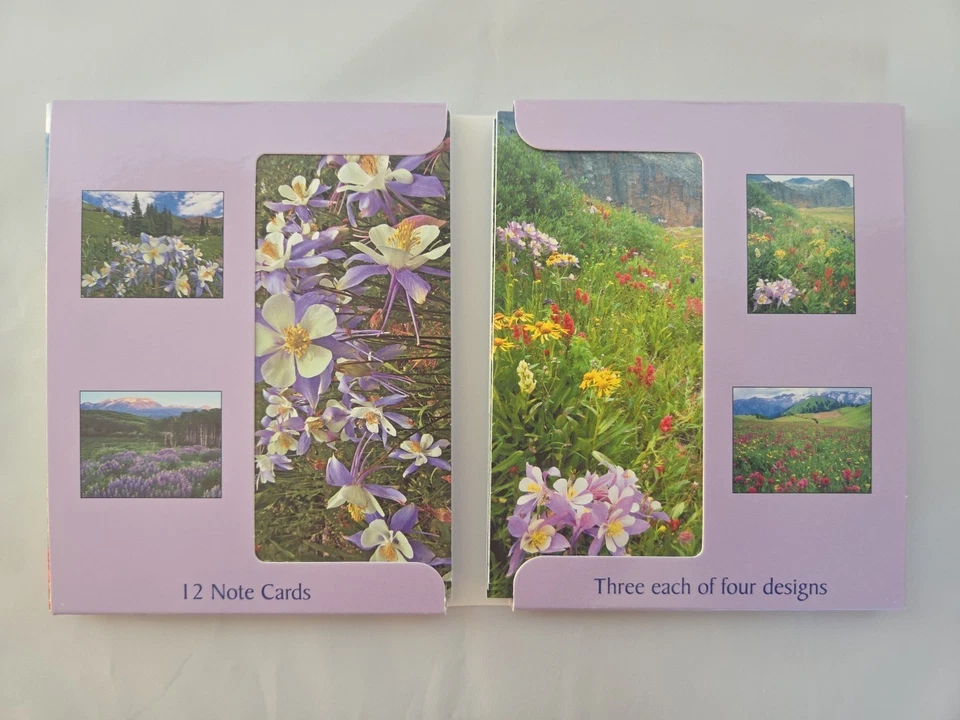 NEW! Mountain Wildflowers 12 Note Cards with Envelopes by John Fielder - Image 3 of 4
