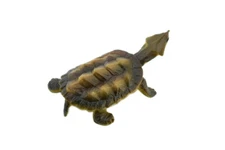 Turtle Toy, Mata Mata, Snapping, Rubber, Realistic Hand Painted , 2" CH414 BB108