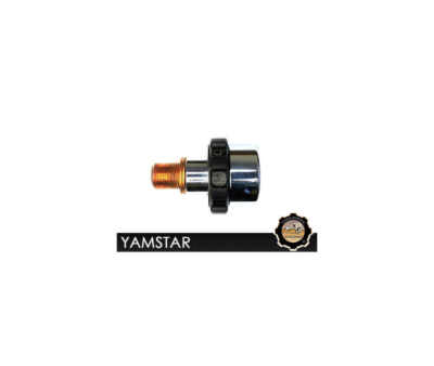 Yamaha XVS 950 1100 1300 1700 V-Star/Roadstar - Regler Stabilisator VI