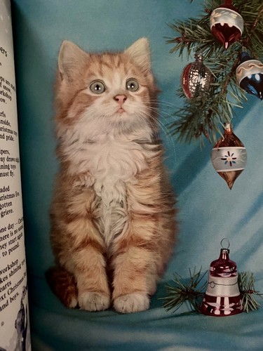 Vintage Ideals "Weihnachten" Zeitschriften 4er Set (1954, 59, 67 & 77) Erinnerungen Vergangenheit - Bild 10 von 20