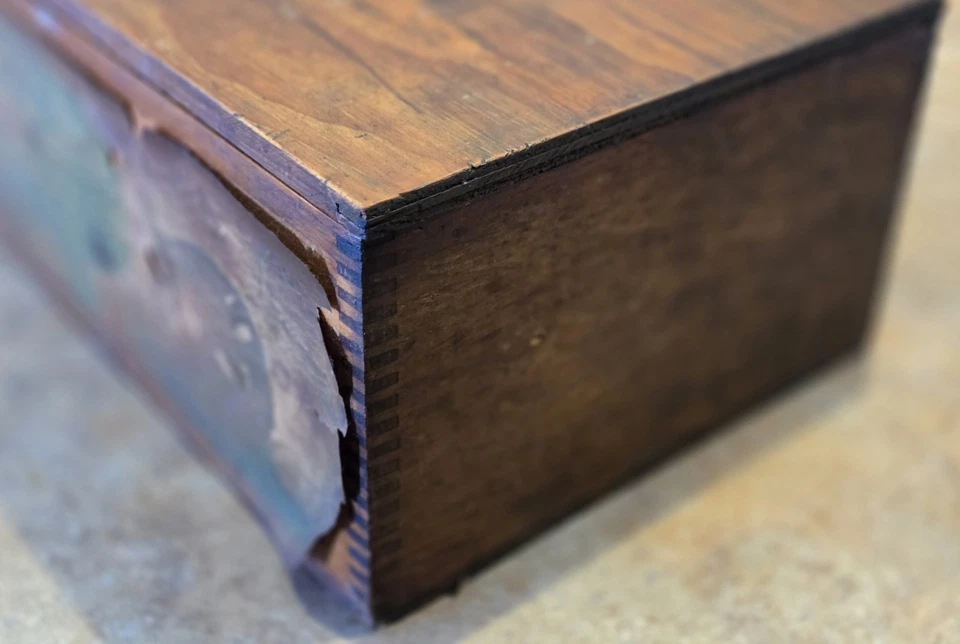 Antiguo D.M. Ferry & Co. Caja de semillas, caja de semillas de exhibición de tienda  Foto 2 de 4