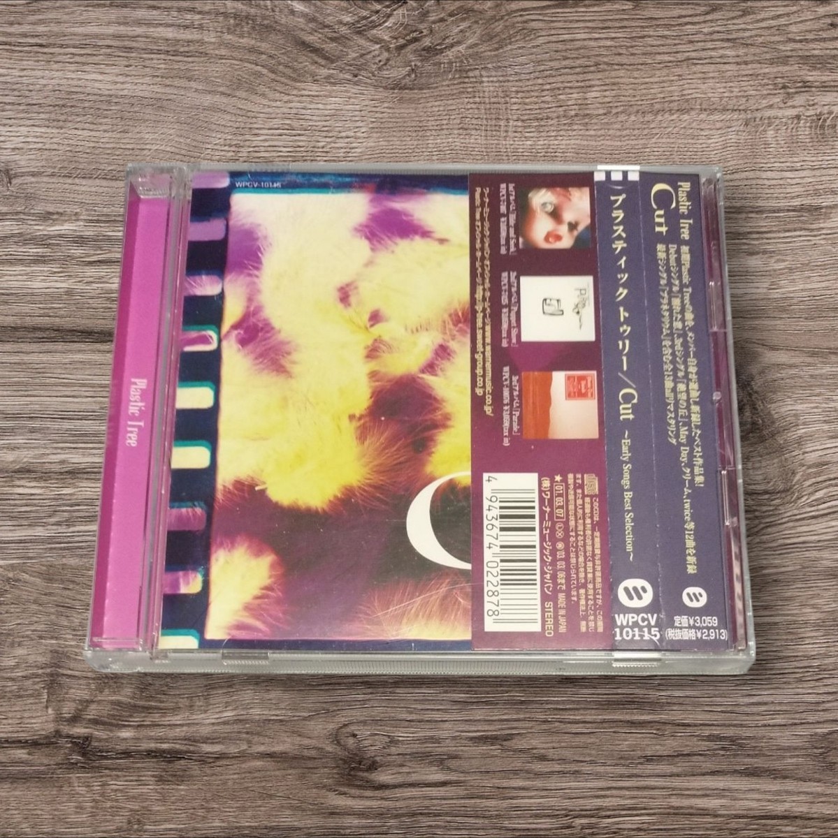 景色 CD plastic tree Cut ~Early Songs Best Selection~ /OBI V kei JAPAN | eBay