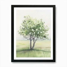 Plum Tree Atmospheric Watercolour P Framed Wall Art Poster Canvas Print Picture