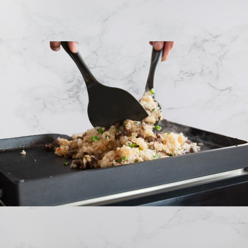 BALMUDA The Plate Pro K10-A100 Griddle & Cover Sold separately