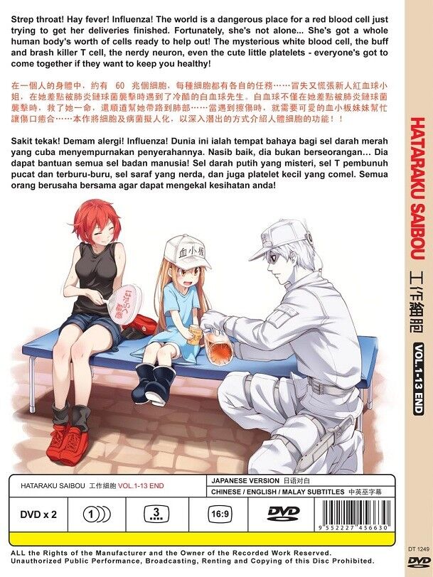 Hataraku Saibou (Cell at Work) DVD Vol. 1-13 End Anime