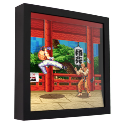 Art of Fighting - 3D Shadow Box Frame (9'' x 9'') Gaming Art