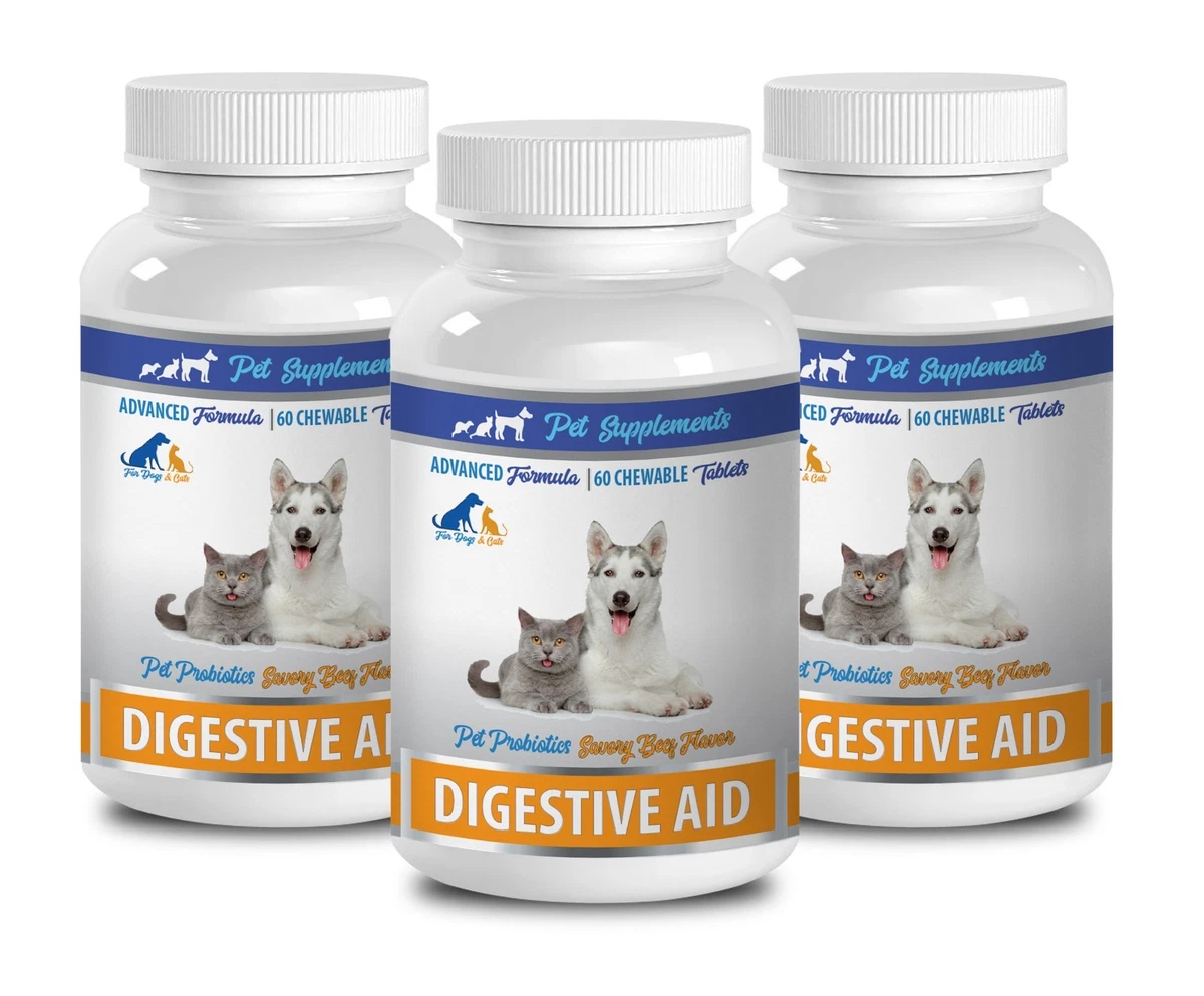 Cat hot sale digestive supplements