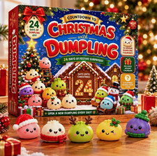2026 Dumpling Squishy Advent Calendar 24 Days Countdown to Christmas Mystery Box