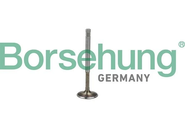 ENGINE EXHAUST EX VALVE BORSEHUNG B19009 8PCS FOR AUDI A6 C5,A4 B6,TT,A4 B5,A3 - Image 2 of 4