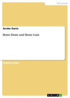 Serdar Danis | Brain Drain Und Brain Gain | Taschenbuch | Deutsch (2013) | 24 S.