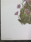 Bild 6 von 9