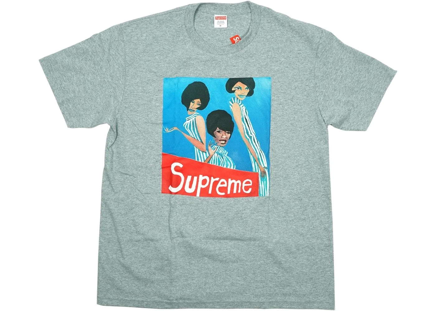 SUPREME GROUP TEE M GREY TEE T SHIRT DS 10/10 RUNNING LTD ED