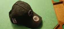 Chicago Cubs Northwestern University Csp Hat
