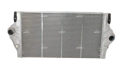 NRF 30893 Intercooler, Charger for Renault