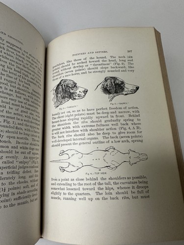 Shooting On Upland, Marsh and Stream Ed. William Leffingwell 1890 1st Ed V. NICE - Picture 15 of 19