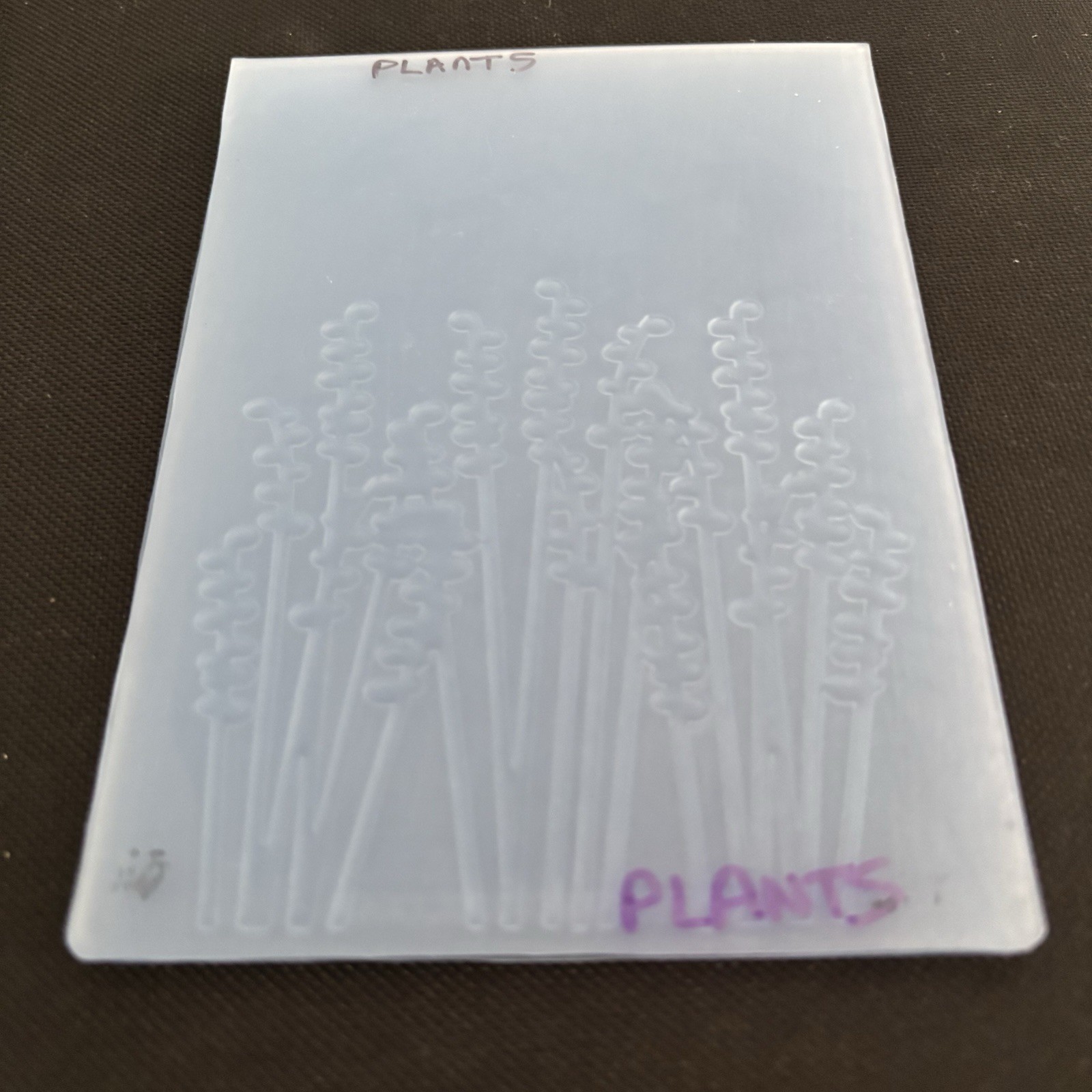 Cuttlebug & Darice Embossing Folder Lot - Teddy Bear, Chandelier & Plants Set