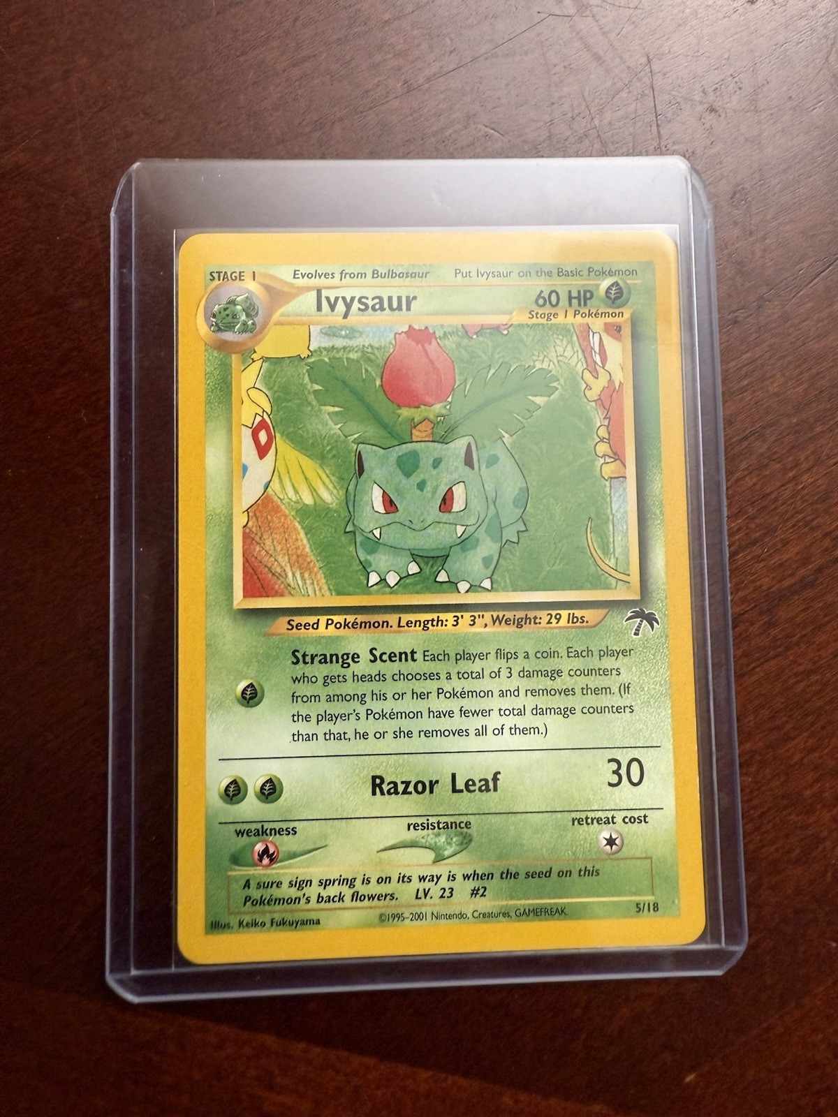 Pokémon TCG Ivysaur Vintage Southern Islands 5/18 NM/MINT