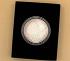 2007-W Burnished $1 American Silver Eagle Box, OGP & COA