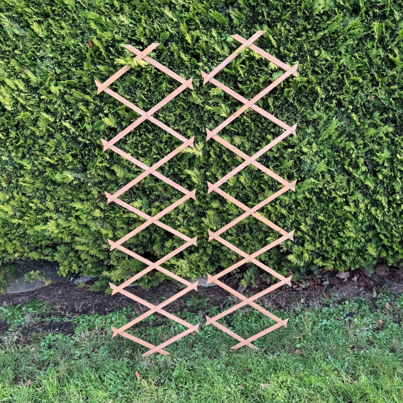 Set of 2 Expanding Wooden Garden Trellis Climbing Plant Support (180cm x 30cm)