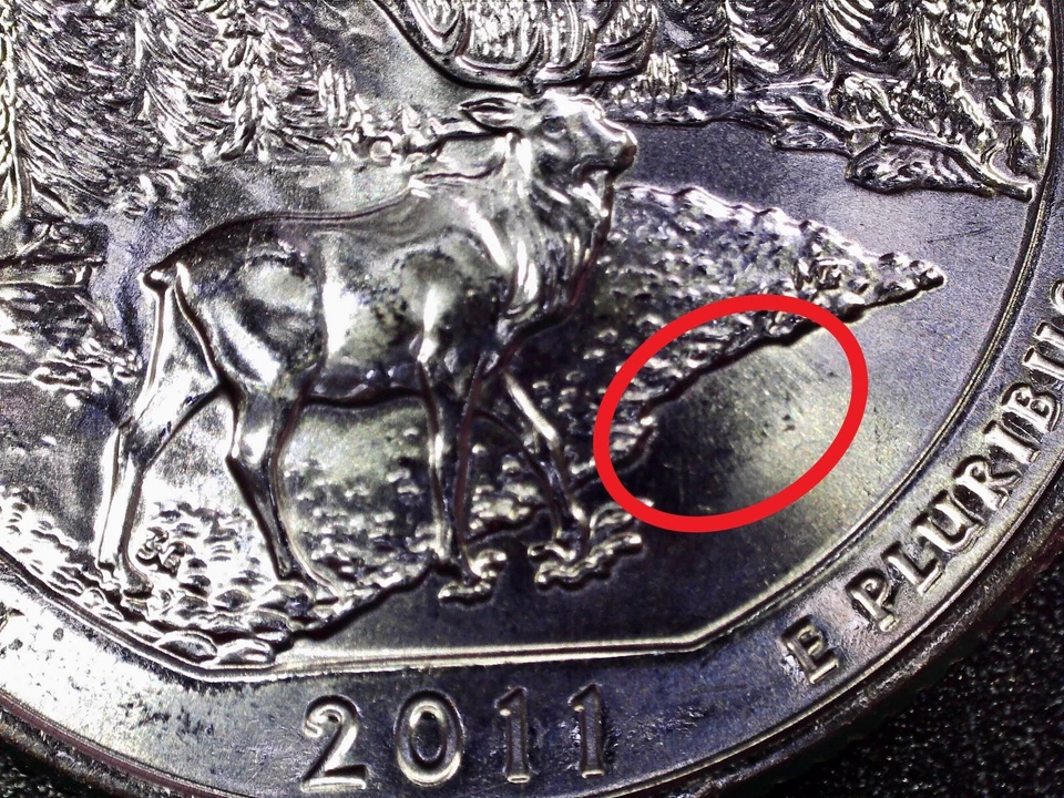 2011 D Olympic NP (WA) ATB Quarter Error - Feeder Finger - *GEM* from Mint Rolls - Image 3 of 4