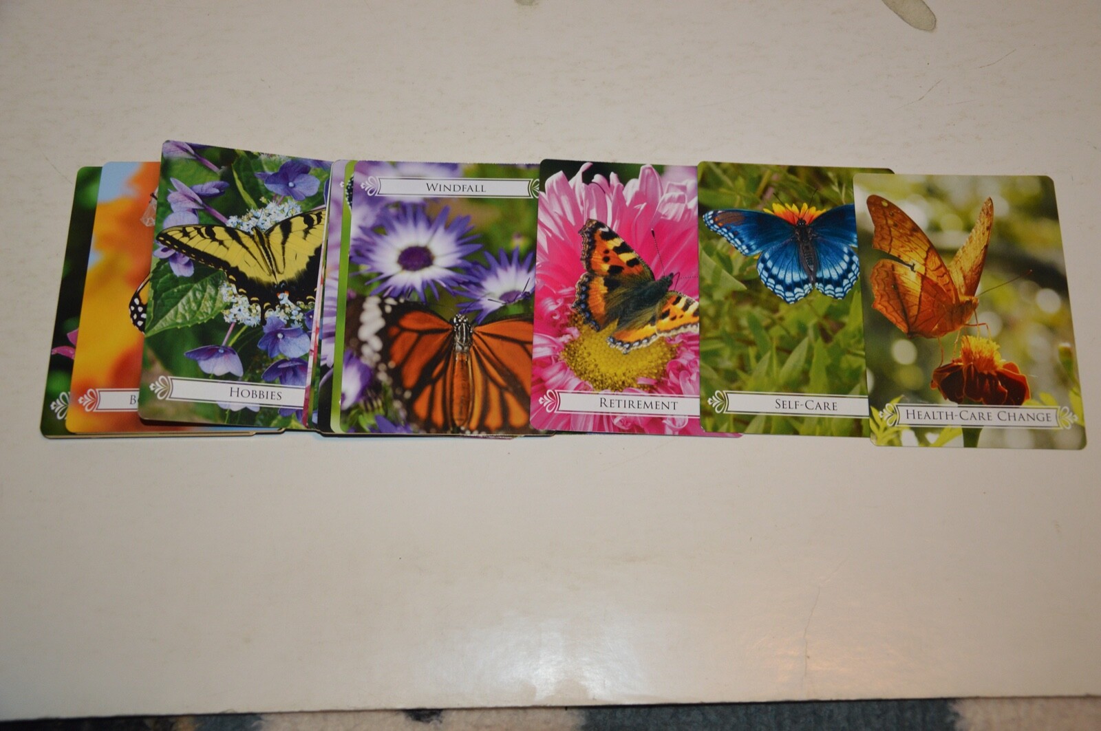 Bild 7 von 9