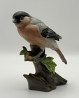 Bullfinch Bird Figurine – Wildlife Ceramic Ornament on Branch