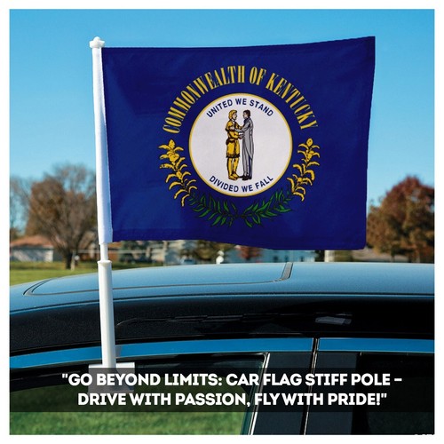 Prom Patriot's Kentucky KY Staatsflagge einlagig umgekehrt bedruckt 200D Nylon - Bild 63 von 66