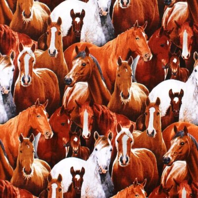 100% Baumwollstoff - Realistische Pferde - Elizabeth's Studio, Tiere