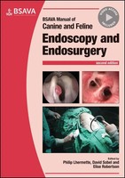 Bsava Manual Of Canine And Feline Endoscopy And Endosurgery | Lhermette (U. A.)