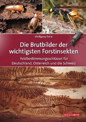 Die Brutbilder der wichtigsten Forstinsekten Wolfgang Rohe
