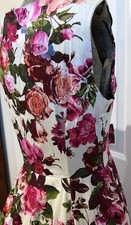 Hearts and Roses London Size 8 Rose Dress with Petticoat BNWT Sleeveless Floral