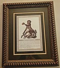 Picture 11 of 20