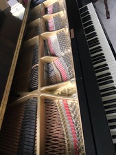 Boston grand piano GP193 ebony, Lightly Used with humidifyer and bench