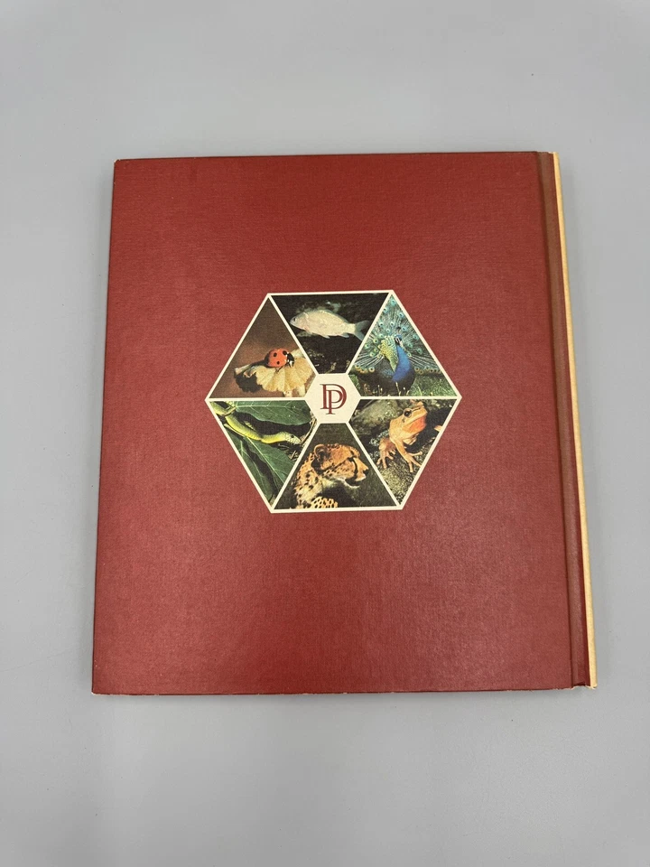 Vintage 1971 The Illustrated Encyclopedia of the Animal Kingdom Volume 2 - Image 2 of 4