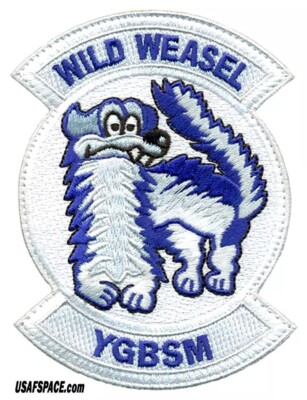 USAF 157th FIGHTER SQ -157 FS-F-16-WILD WEASEL-SC-ANG- ORIGINAL