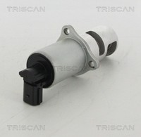 AGR Ventil Triscan 8813 10100 FüR P12 KM0 BM0 Nissan Megane Renault Primera 2