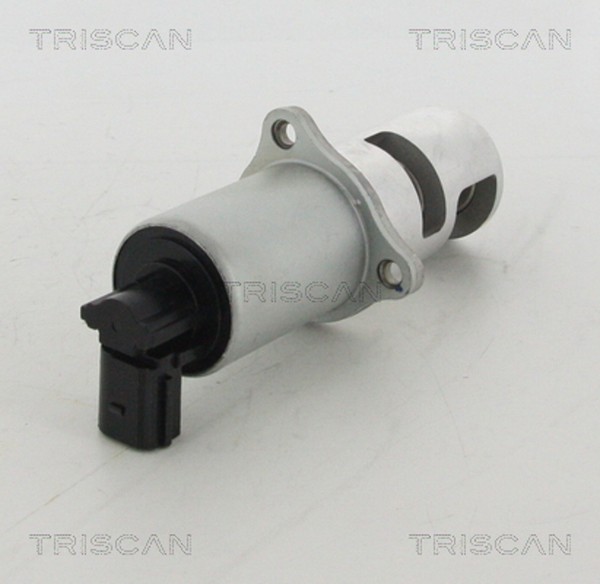 AGR Ventil Triscan 8813 10100 FüR P12 KM0 BM0 Nissan Megane Renault Primera 2-image