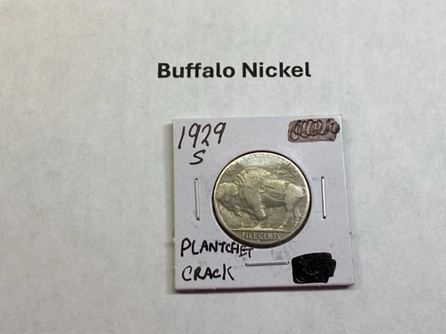 1929-S Buffalo Nickel in Very Fine Condition Error Planchet Crack 092525 55r