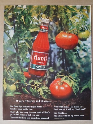 1964 Hunt's Tomato Catsup ''40 Days, 40 nights, and 14 ounces'' Vintage Print Ad